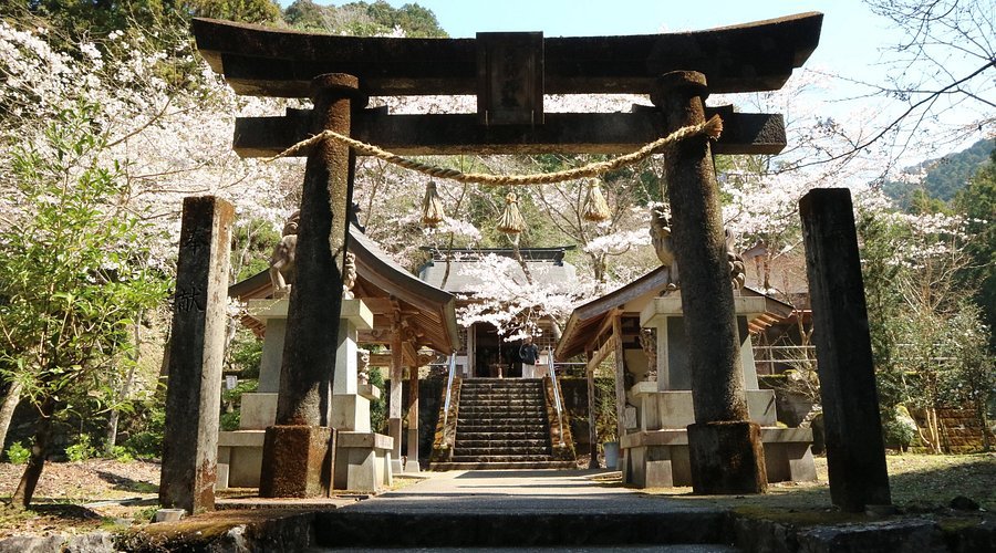 ⛩️ 쿤테키 신사(쿤테키 진자) 이미지 1